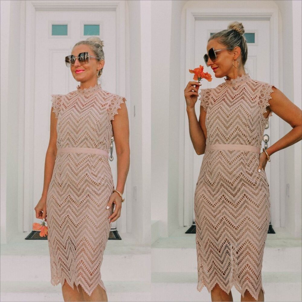 Bardot Imogen Lace Midi Dress Size 10 Pale Blush Cocktail Wedding Guest - Picture 2 of 12